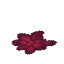 Dark Hide
