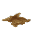 Heavy Hide