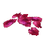 Blood Petals