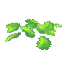 Green Petals