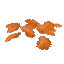 Orange Petals