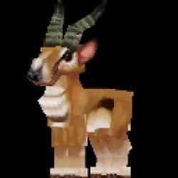Antelope