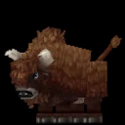 Bison