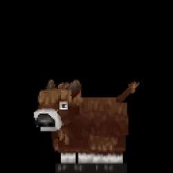 Bison Calf