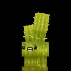 Cactee