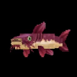 Catfish
