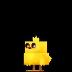 Chick