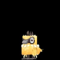 Desert Chick