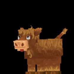 Calf