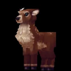 Deer Doe