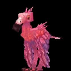 Flamingo