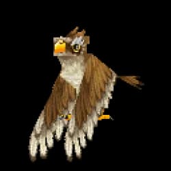 Hawk