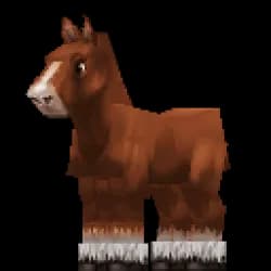 Horse