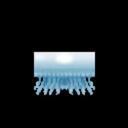 Jellyfish Cyan