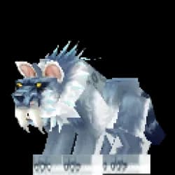 Snow Leopard
