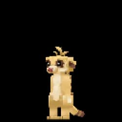 Meerkat