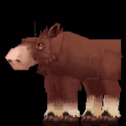 Moose Cow