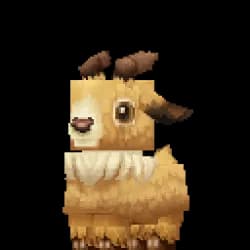 Mouflon Lamb