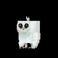 Snowy Owl