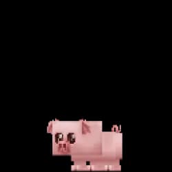 Piglet