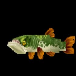 Pike
