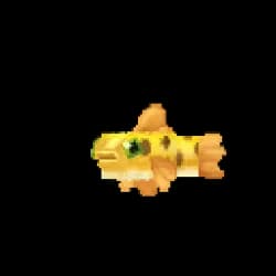 Pufferfish