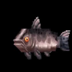 Salmon