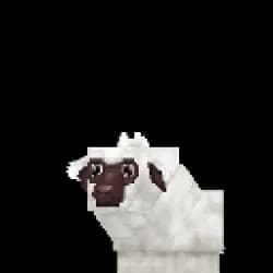 Lamb