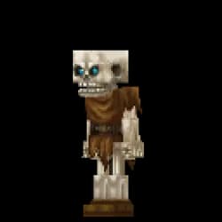 Skeleton Fighter