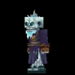 Frost Skeleton Mage