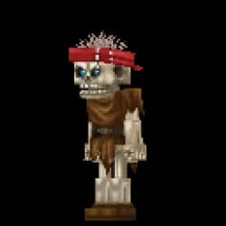 Skeleton Pirate Striker