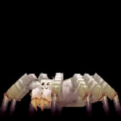 Cave Spider