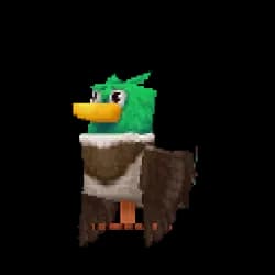 Duck