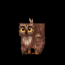 Brown Owl