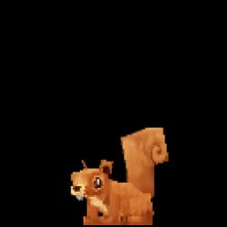 Squirrel