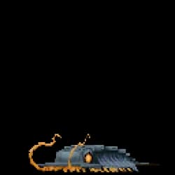 Trilobite Black