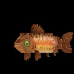 Trout Rainbow