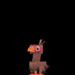 Turkey Chick