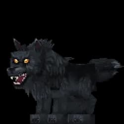 Wolf Outlander Sorcerer