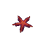 Starfish