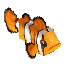 Fish Clownfish Item