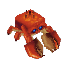 Fish Crab Item