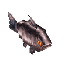 Fish Salmon Item