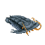 Fish Trilobite Black Item