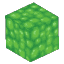 Fluid Slime