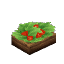 Salad Berry
