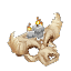 Feran Torch