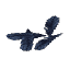 Dark Feathers 1-2×