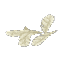 Feathers Light