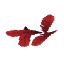Red Feathers 1-2×